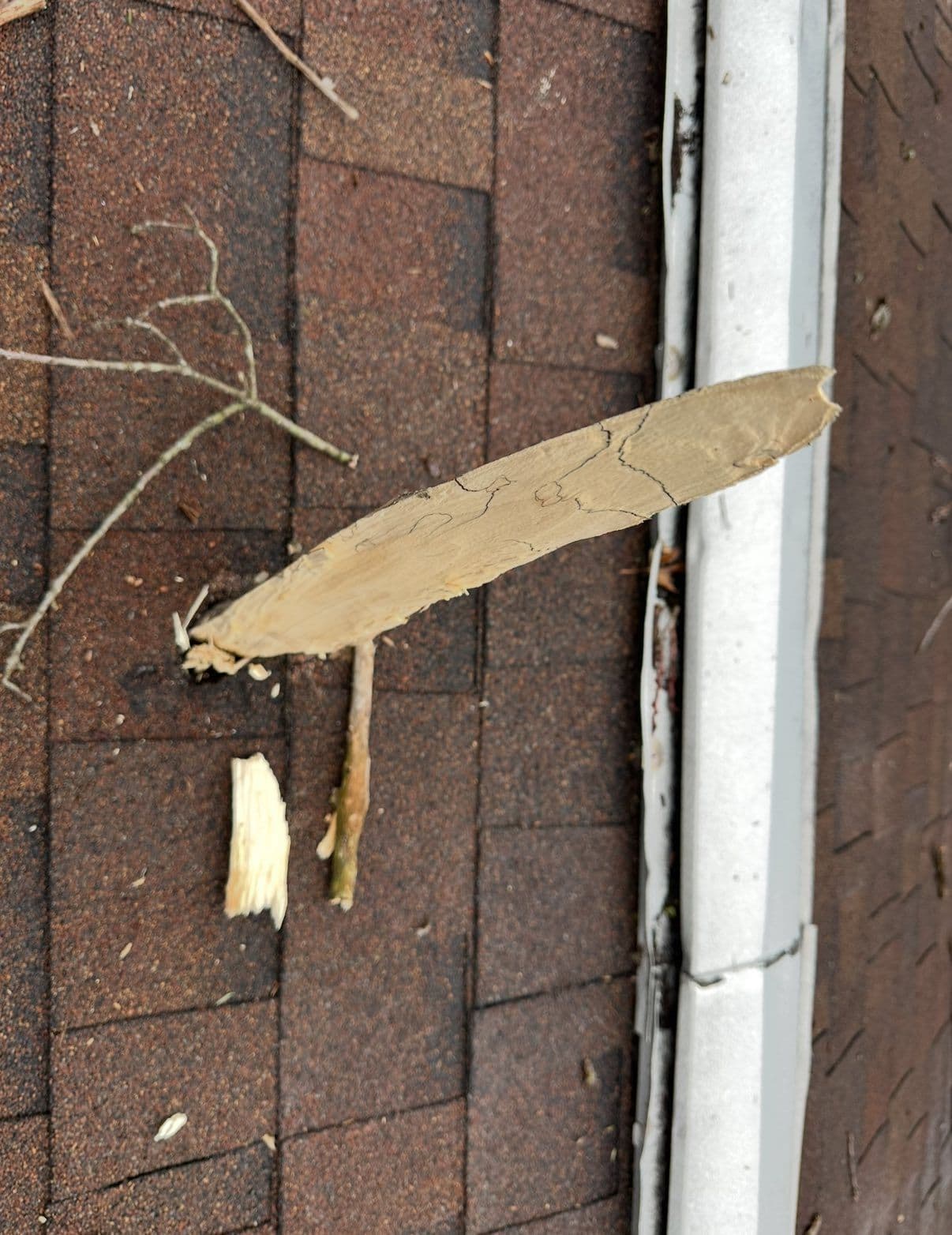 Storm Damage Roof Repair - Photo 4